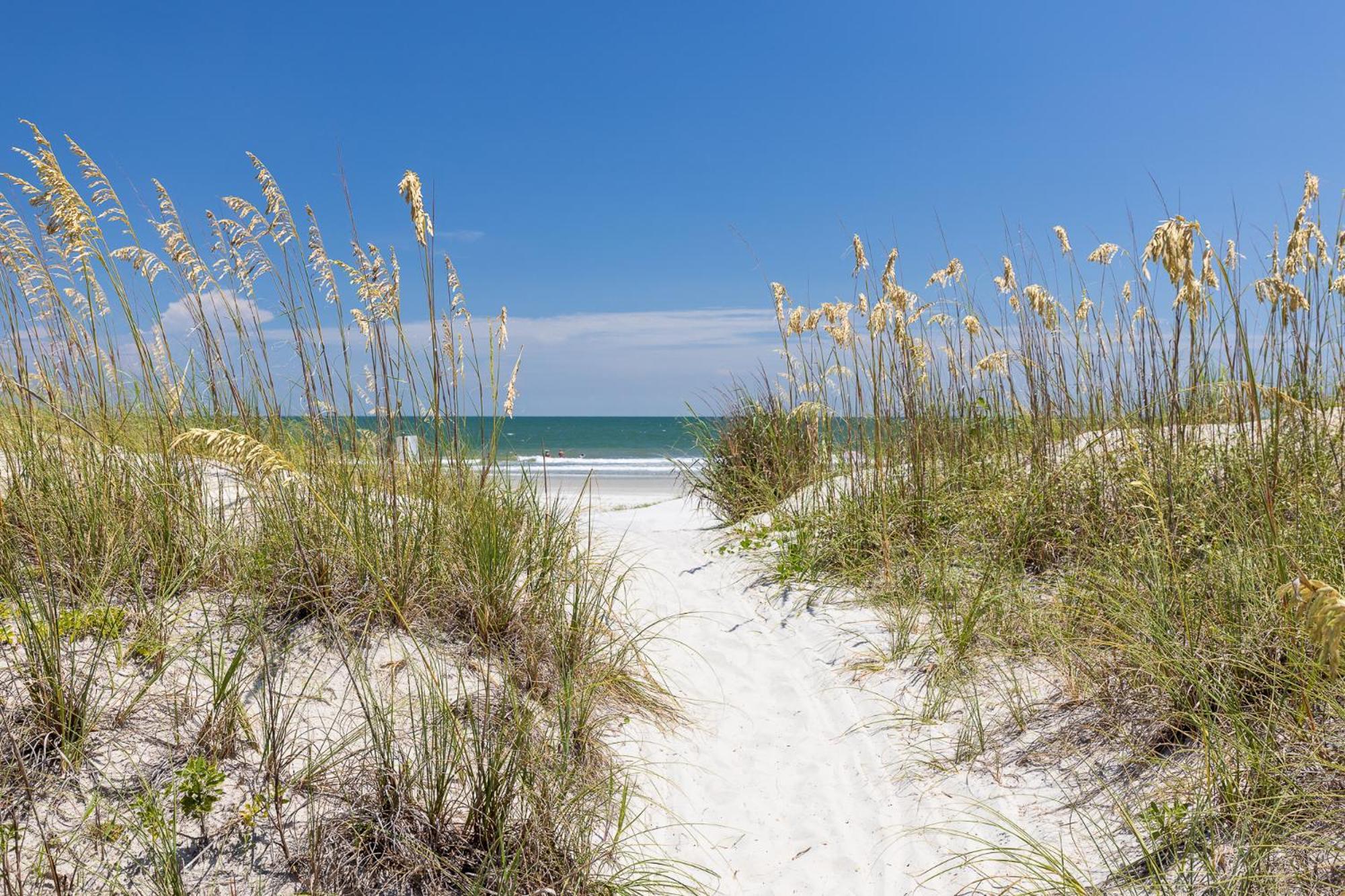6 Wanderer - Host2Coast Villa Hilton Head Island Eksteriør bilde